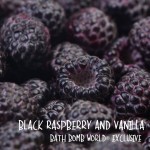 Black Raspberry and Vanilla Fragrance Oil BBW® Exclusive